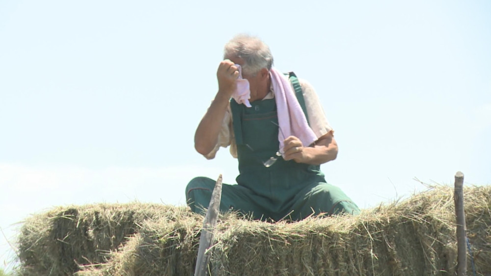 Poljoprivrednci rade punom parom