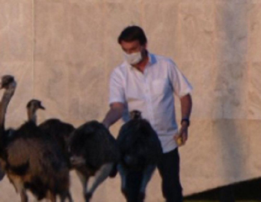 Brazilski predsednik se loše proveo (FOTO)