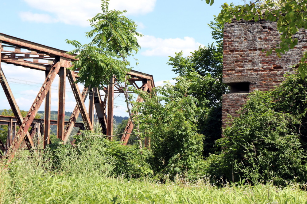 Nemački bunkeri, svedoci okupacije, sada zmijarnici u korovu