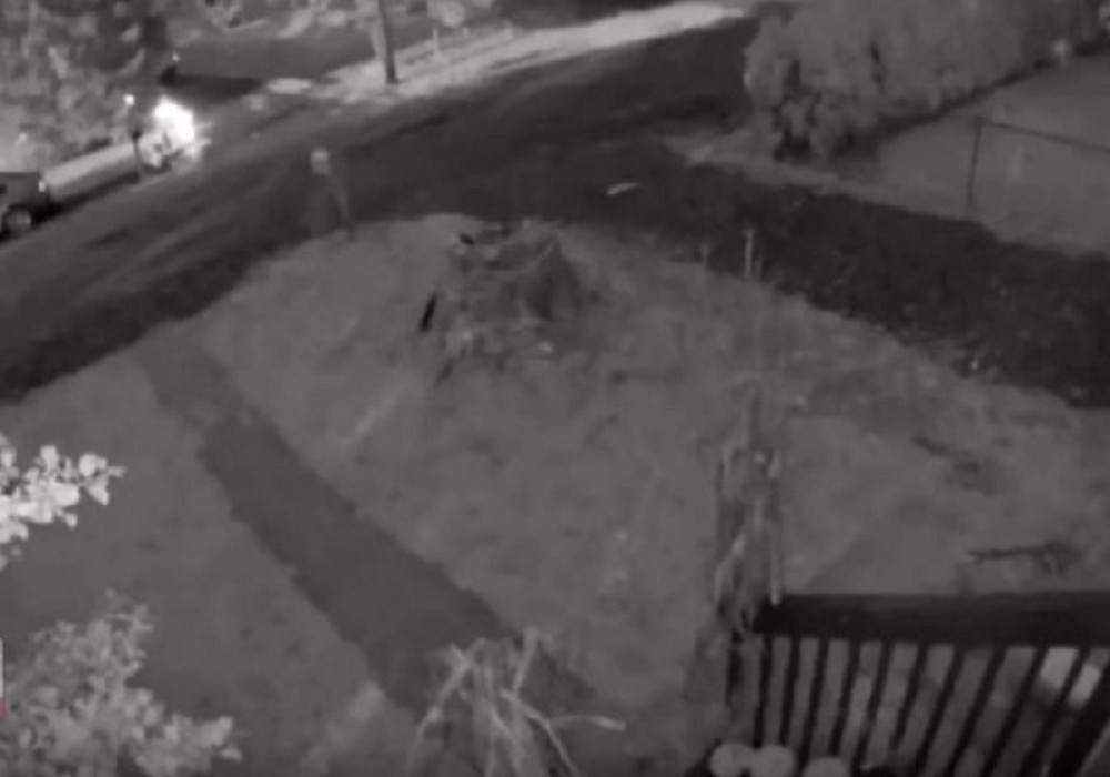 Čuje se od Karaburme pa sve do Grocke, ali i širom sveta (VIDEO)