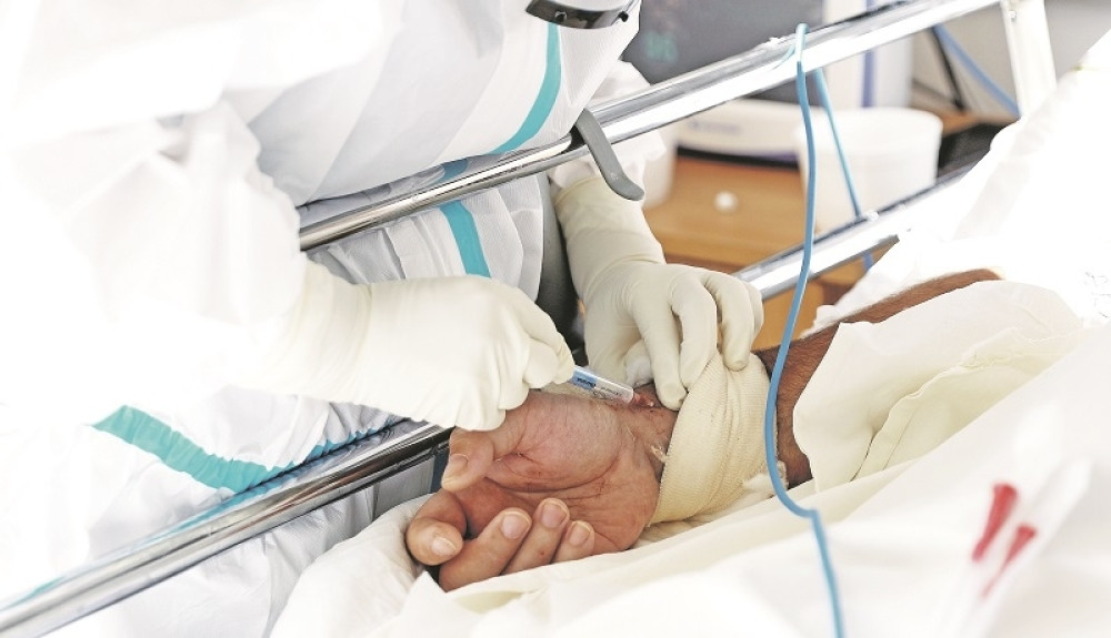 SZO odobrila ispitavenje biljaka koje mogu da budu rešenje za Kovid-19!