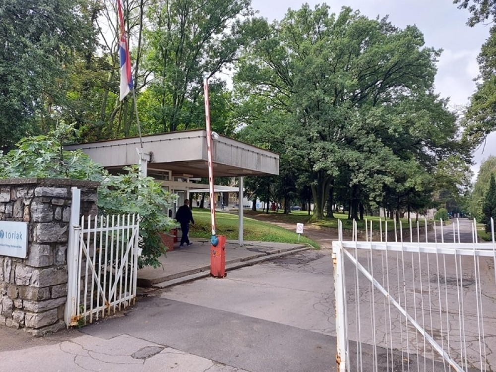 Laž da je kilometarska kolona ispred Torlaka, otkrivena istina! (FOTO)