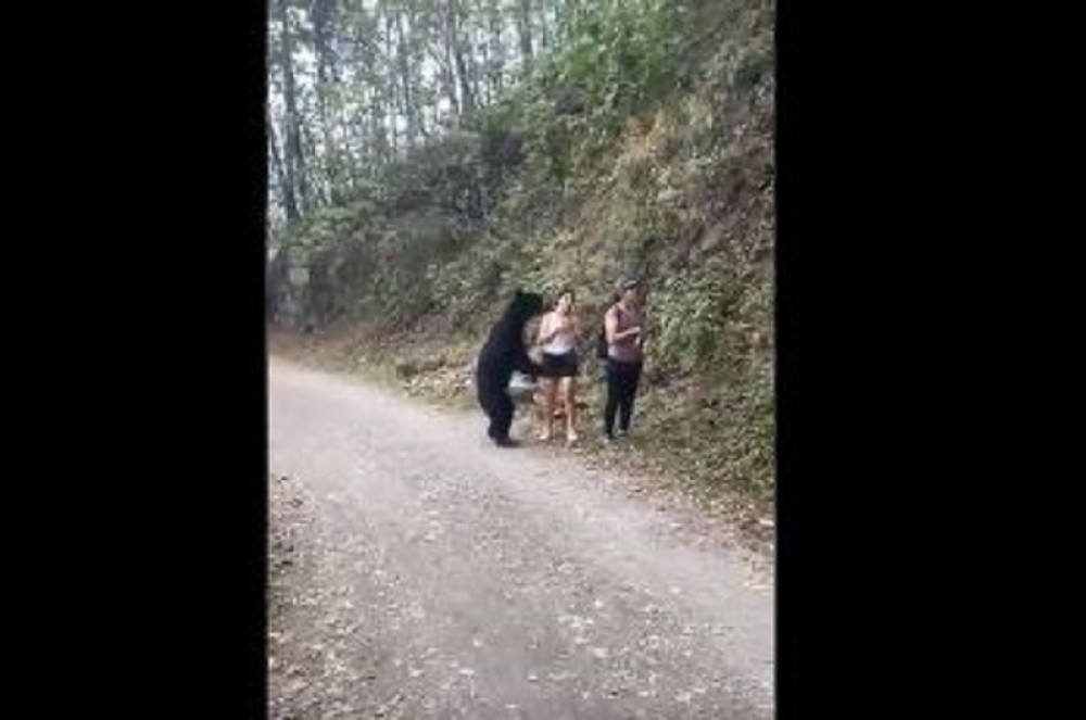 Onjušio ih, upao im u kadar, pa ih iznenadio (FOTO,VIDEO)