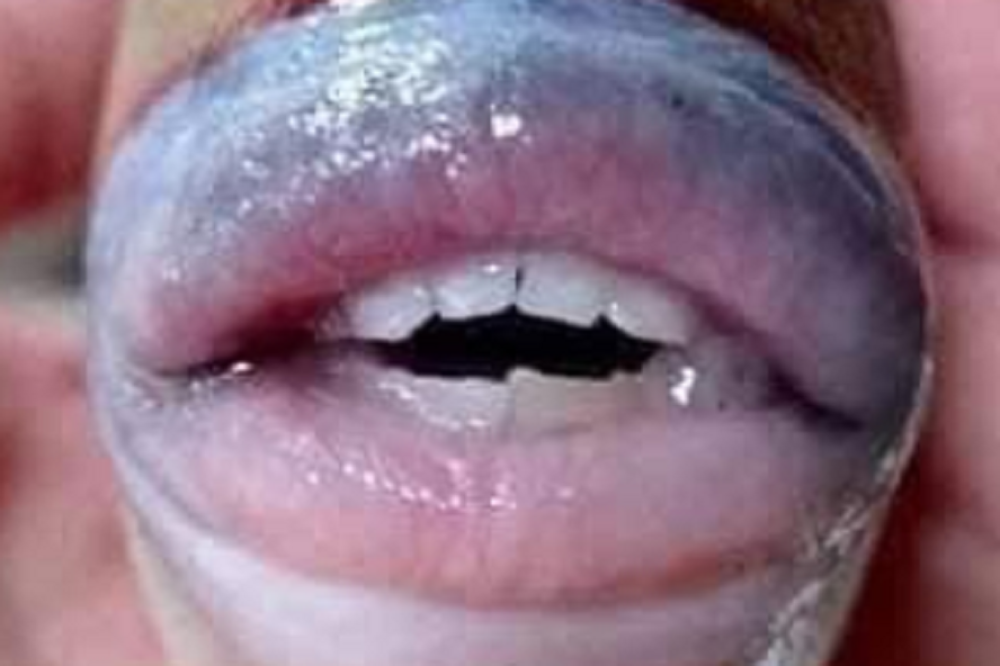 Možda ste ih i sretali izbliza u pijanom stanju, ali ne - ovo nije ljudsko biće! "Više su s*ksi od mojih", reče čovek (FOTO)