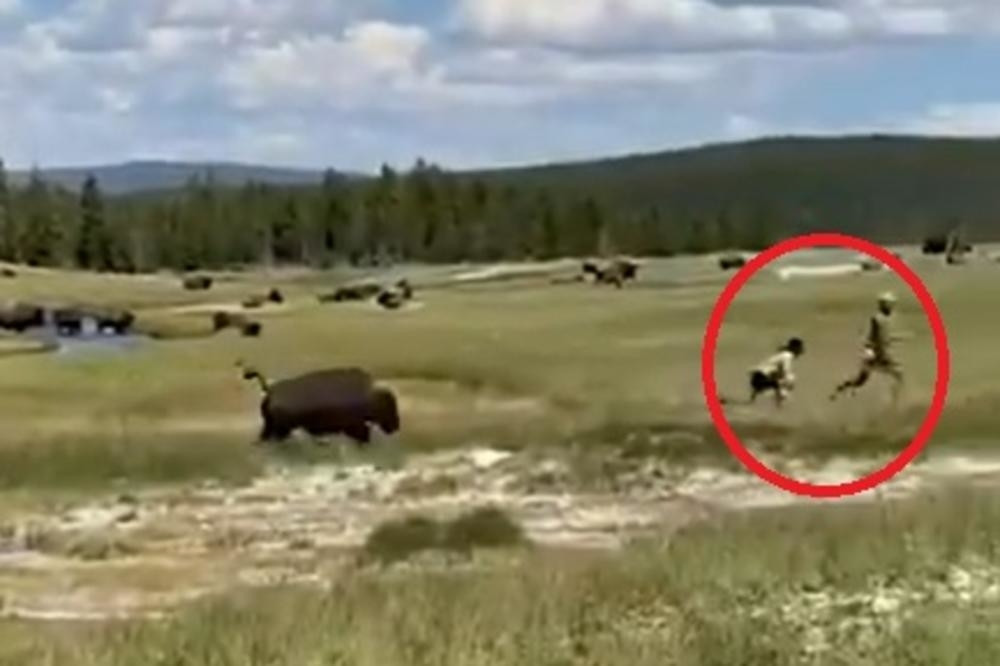 U trenutku se setila trika koji joj je spasao život! (VIDEO)