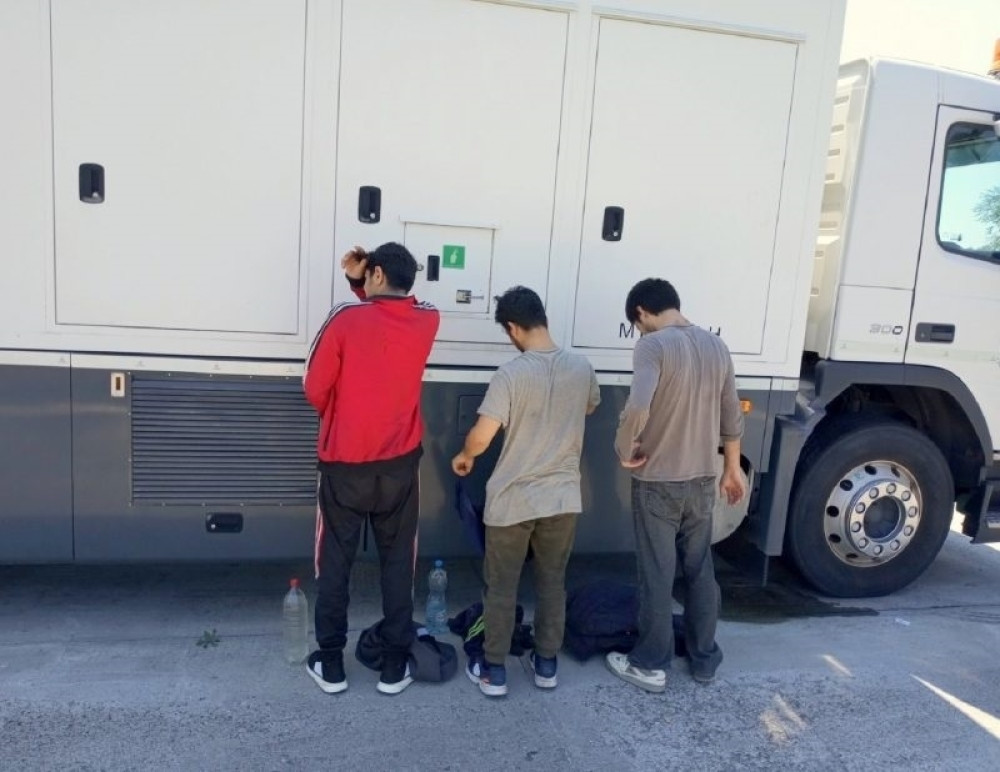 "Migranti ubili, ispekli na ražnju i pojeli četiri psa, ostavili su samo svinje"