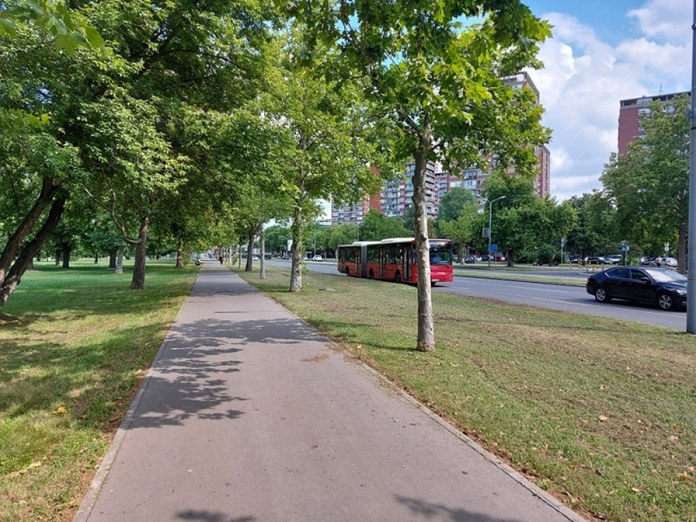 Još dva srpska velikana dobijaju ulice u Beogradu