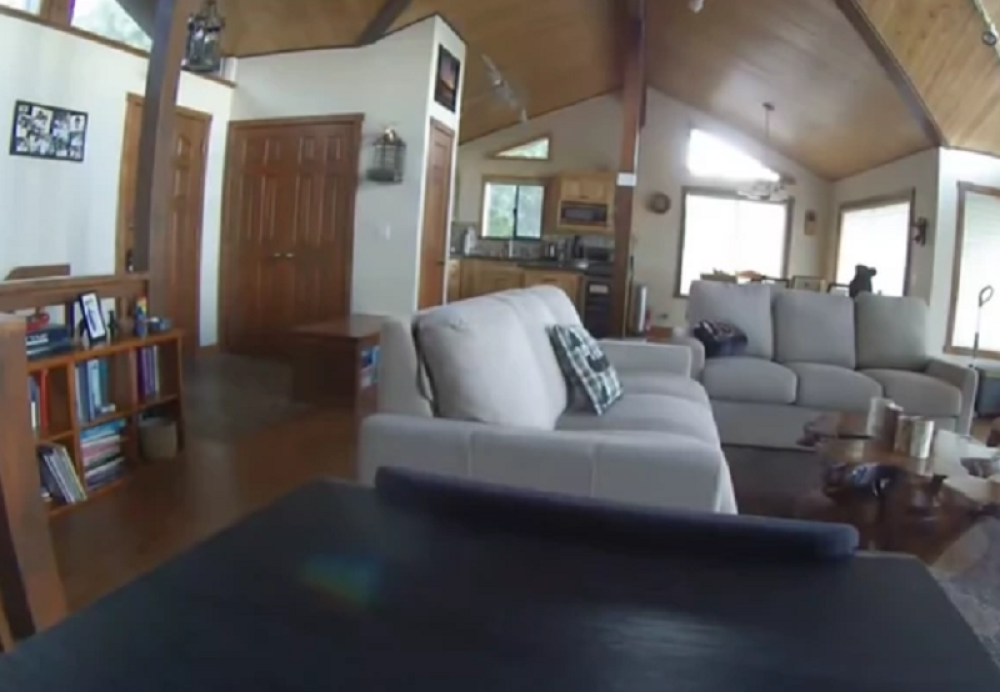 Video nadzor je snimio razvaljivanje vrata, ali i ogromnog "razbojnika" (VIDEO)