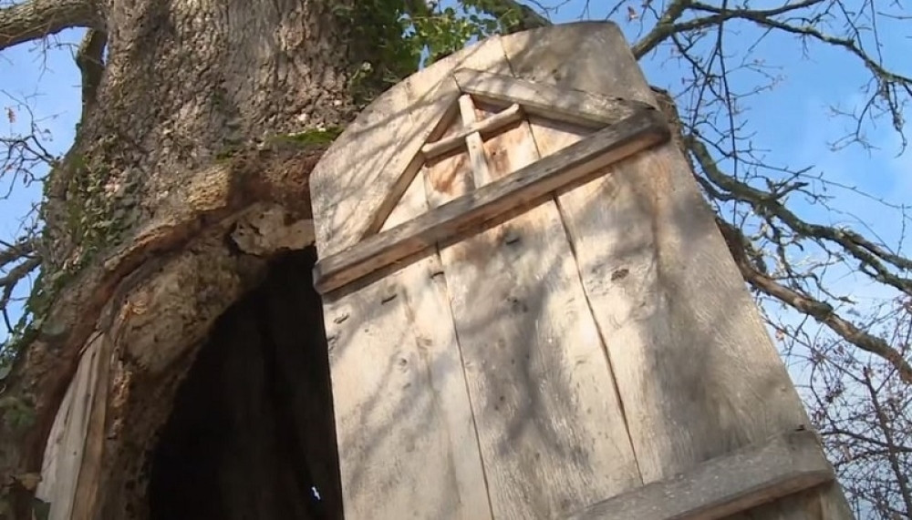 Crkvica skrivena u hrastu, naša a jedinstvena u svetu