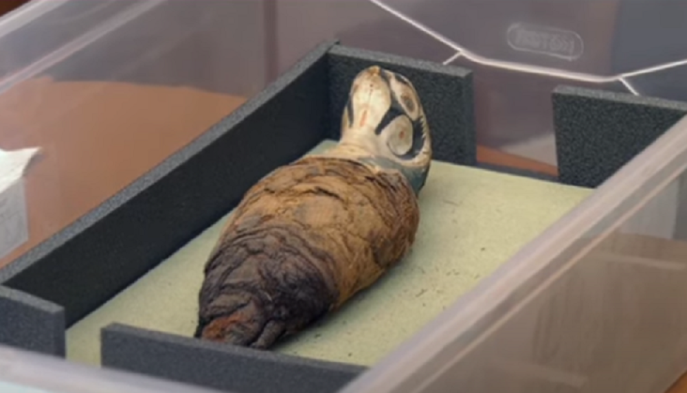 U njima nema ljudskih ostataka!