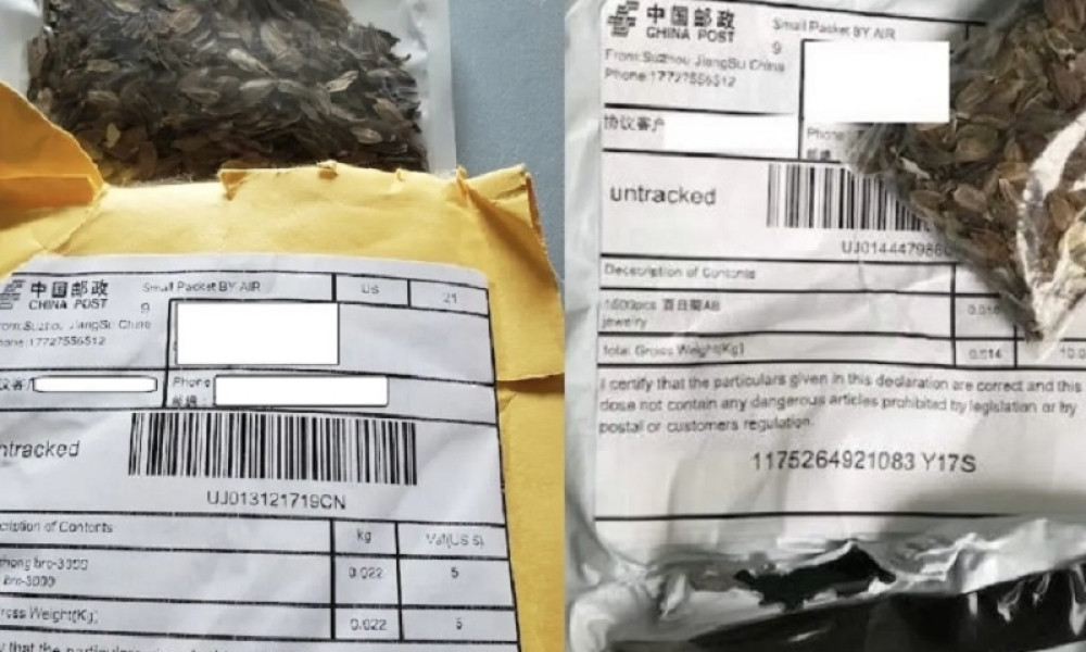 Čudne pošiljke semena stižu na kućne adrese, vlada u panici: Ne dirajte to! Možda je u pitanju invazivna vrsta! (FOTO)