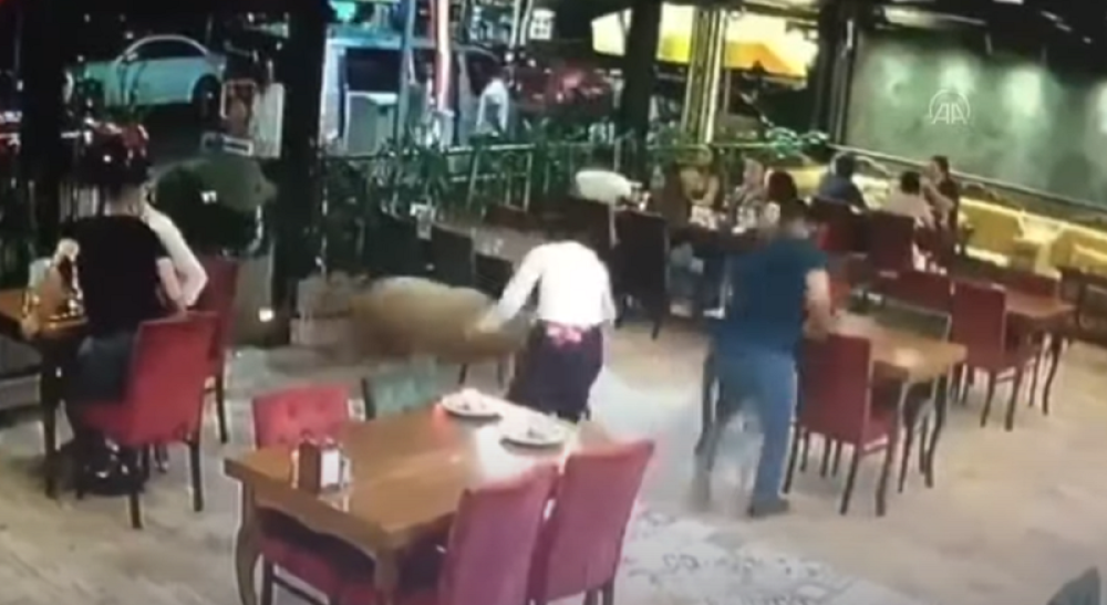 Ovan koji je trebalo da bude žrtvovan, pobegao od vlasnika u kafanu (VIDEO)