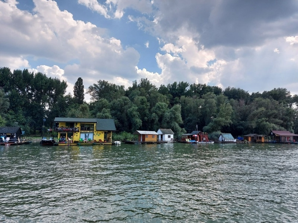 Ribolovci iz Save izvadili ostatke nepoznatog stvorenja! (FOTO)