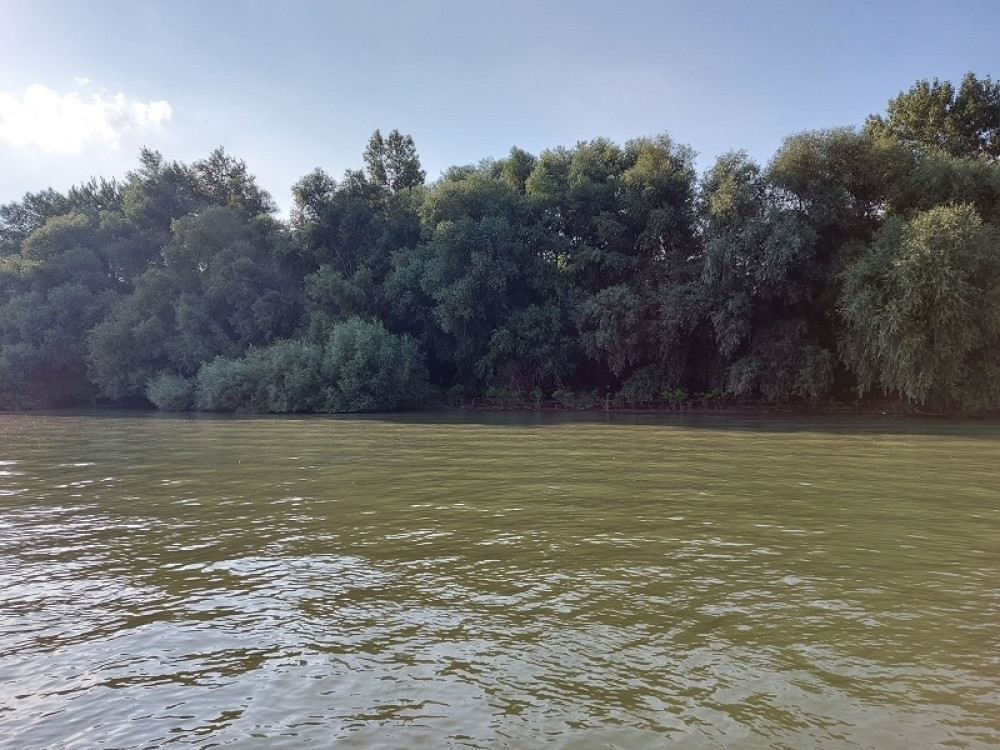 U Savi pronađeno telo migranta, hteo u Evropsku uniju