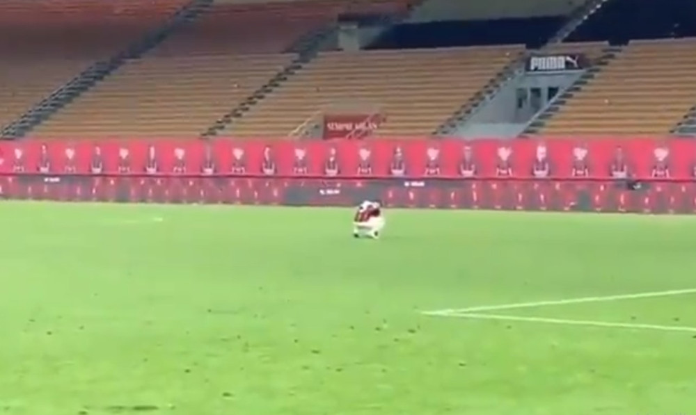 Ušao na teren, čučnuo i počeo da plače! (FOTO/VIDEO)