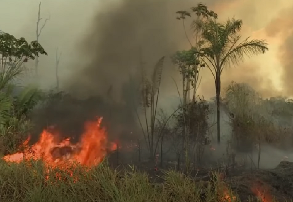 Za 24 sata u Amazoniji zabeleženo više od 1.000 požara (VIDEO)
