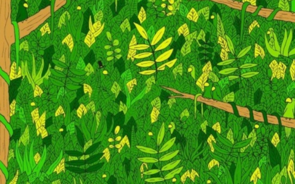 Samo posebni mogu da vide ZMIJU u prvih par sekundi! (FOTO)