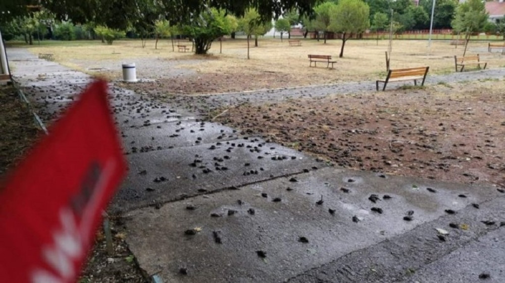 Crna Gora počela da gradi 5G mrežu! (FOTO)