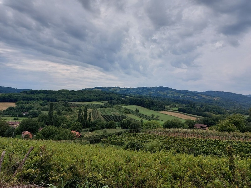 Počinje rekonstrukcija ruiniranog kanala koji će navodnjavati 380 hektara plodnog zemljišta (FOTO)