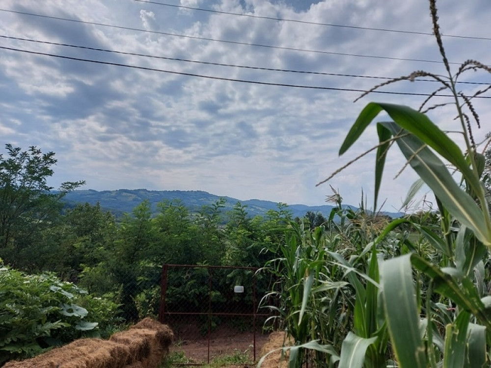 Srbija se okreće organskoj proizvodnji!