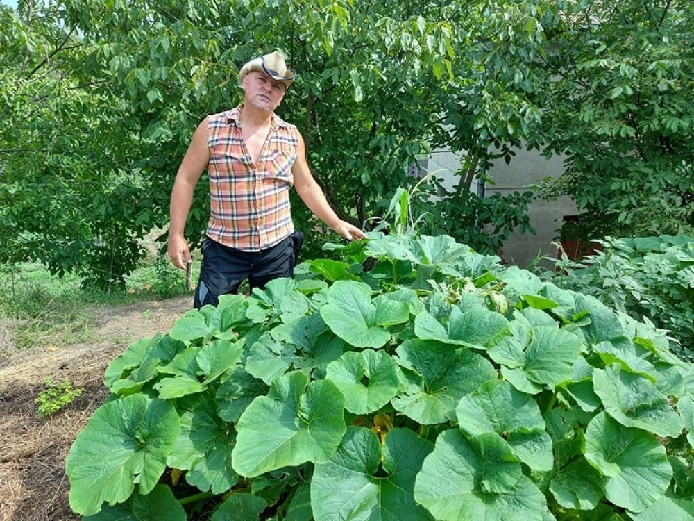 Otišao u Švajcarsku, a u Šumadiju doneo argentinsku tikvu i bolivijski crni kukuruz