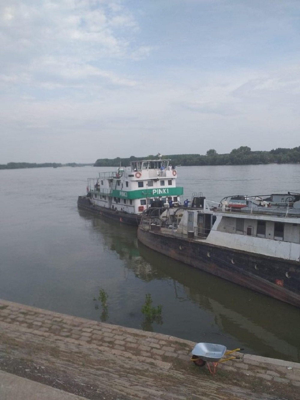 Deda (82) iz Novog Sada odveo je dečaka (8) u obližnju šumu kod neuređene dunavske plaže, a onda ga naterao da ga oralno zadovoljava