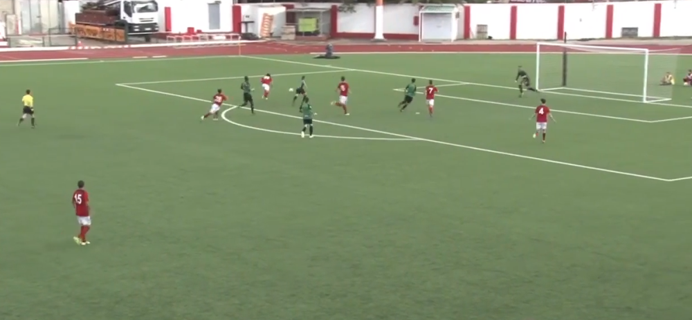 Od prezimena trenera Evrope ledi se krv u žilama, predstavljamo vam Zvezdinog prvog rivala u kvalifikacijama