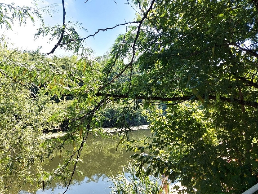 Otac troje dece nestao u Dunavu kod Golupca, iza sebe ostavio i trudnu suprugu