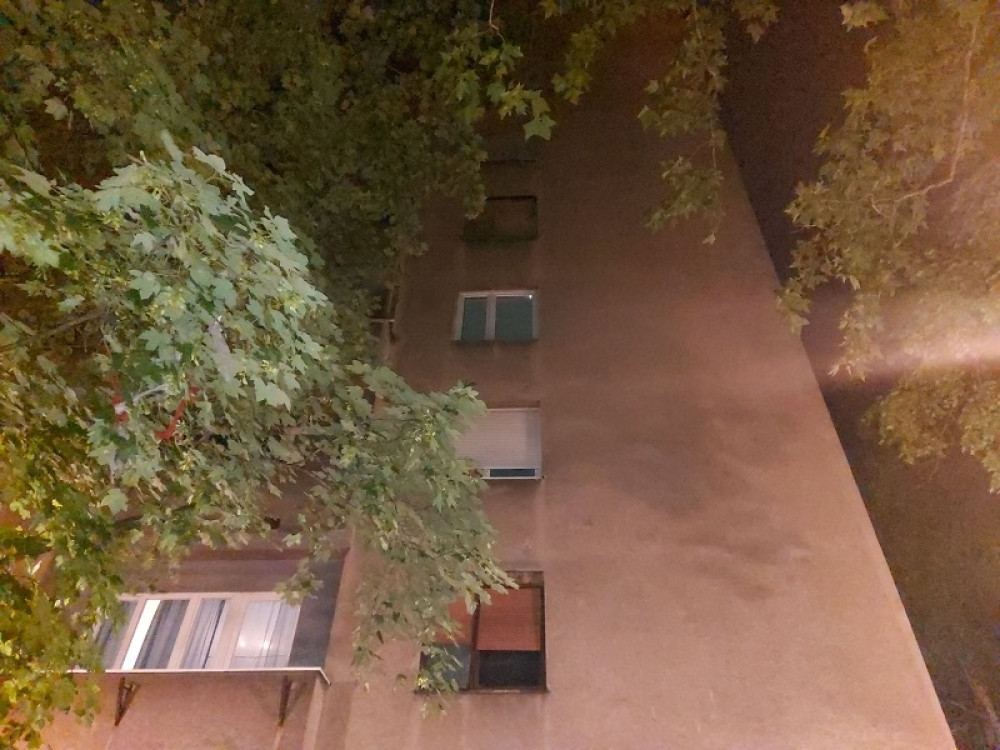 Smrtonosni insekt hara zgradom: "Opkolile su sve od podruma do krova"