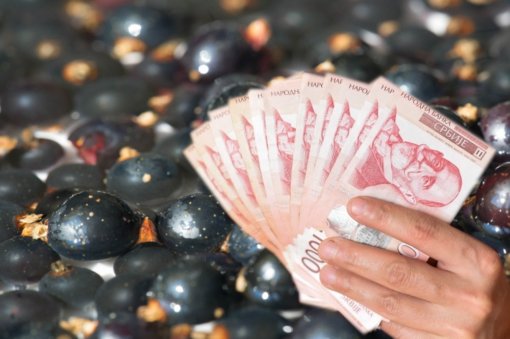 U Srbiji carstvo plantaža koje donose PRAVO MALO BOGATSTVO