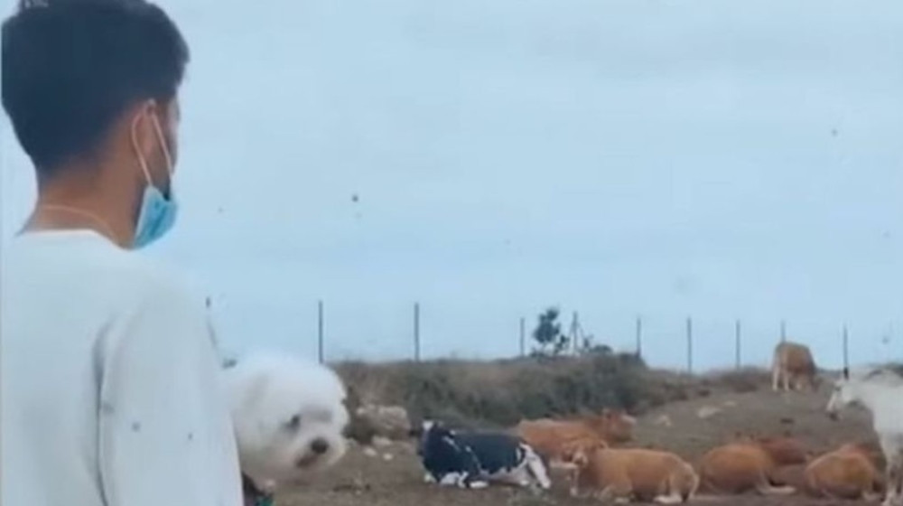 Sin trenera Barselone pitao krave da li će Katalonci osvojiti Ligu šampiona! (VIDEO)