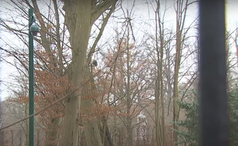 Krenuo je da renovira luksuzno imanje, a ono što je OTKOPAO U PODRUMU ostavilo je celu državu bez teksta! (FOTO)