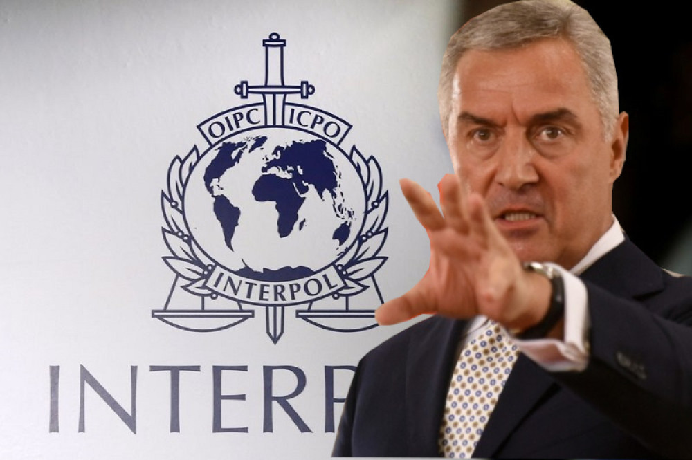 Interpol okrenuo leđa Crnoj Gori: Đukanoviću "gori pod nogama"!