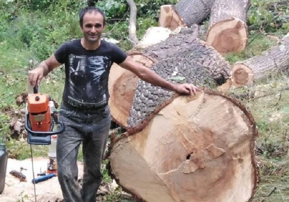 Rade oborio stablo od 40 metara, ovo je jedno od najtežih zanimanja na svetu (FOTO)