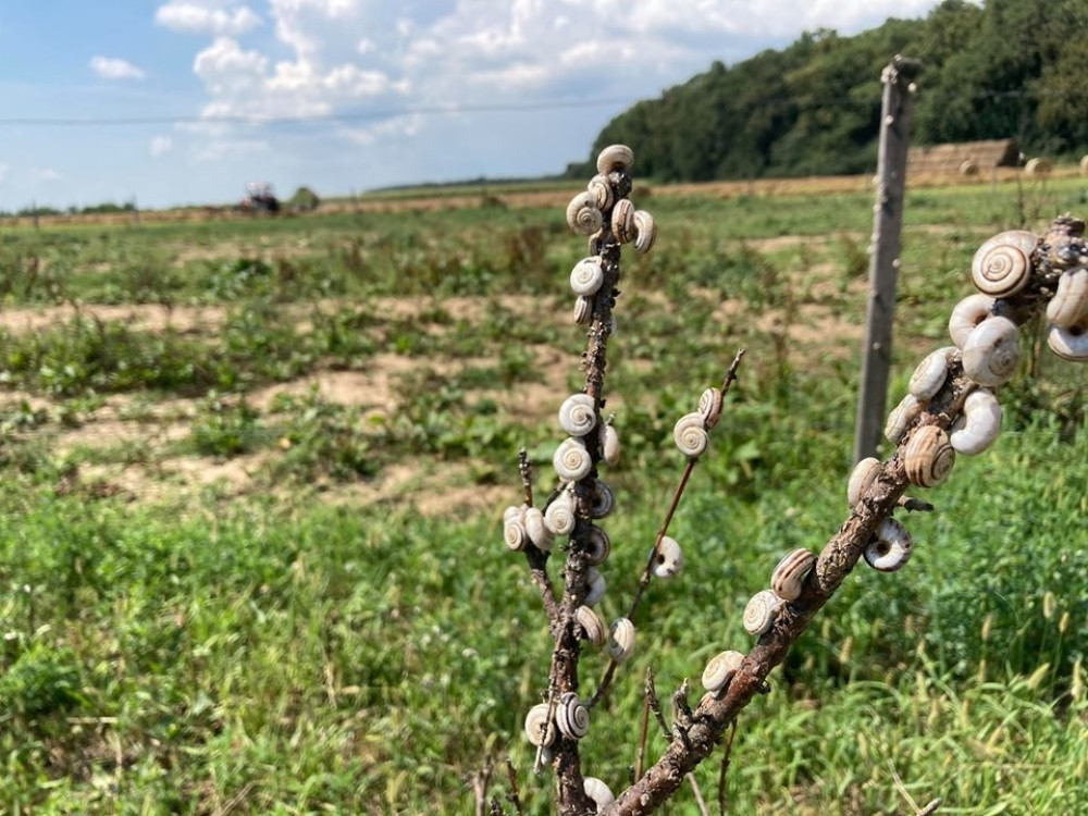 Promena vremena već sutra