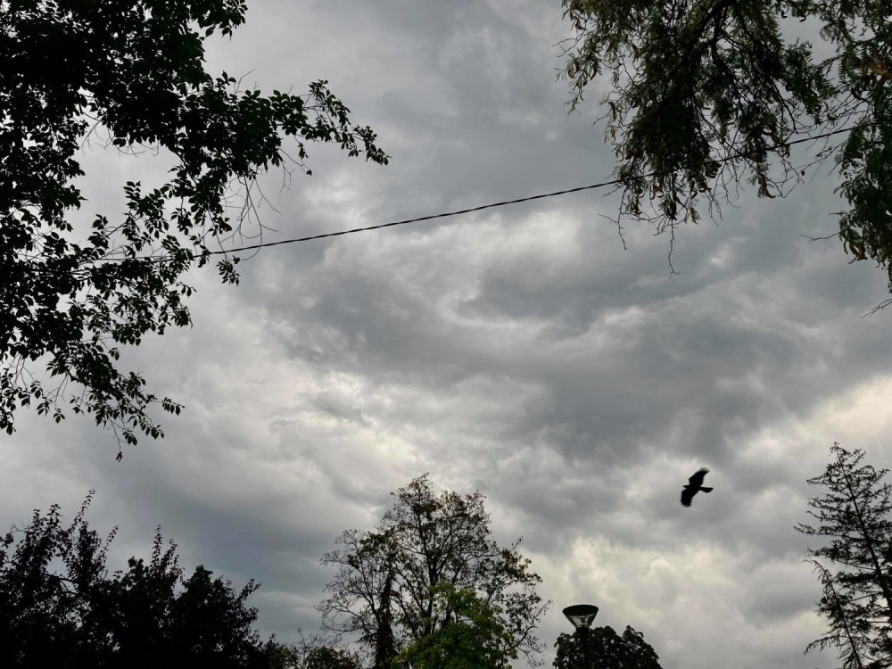 Sledeća nedelja će imati "šareno" vreme