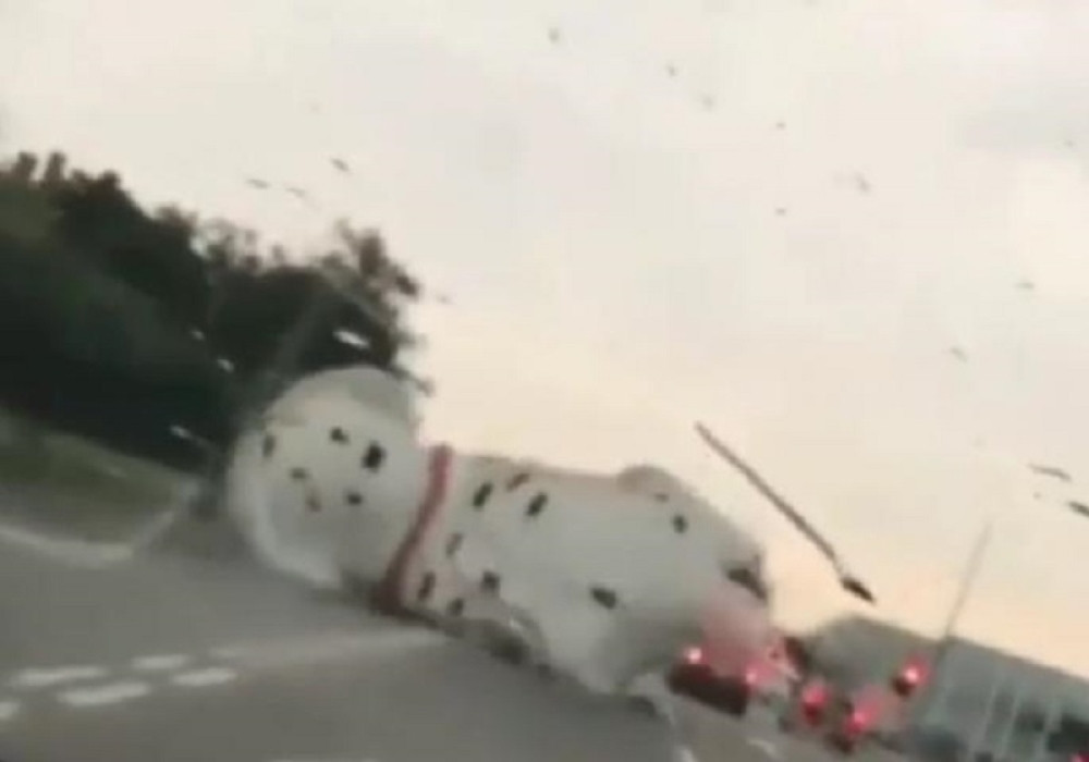 Nastradao "dalmatinac" u oluji u Kragujevcu: Vozači kočili, ali mu nije bilo spasa (VIDEO)