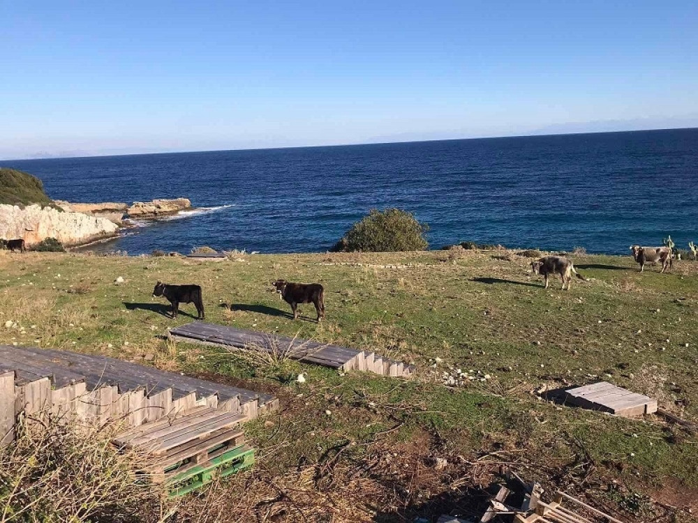 Mnogi već planiraju letovanje u 2021, a od danas je stupila na snagu nova odluka za ulazak srba u Grčku