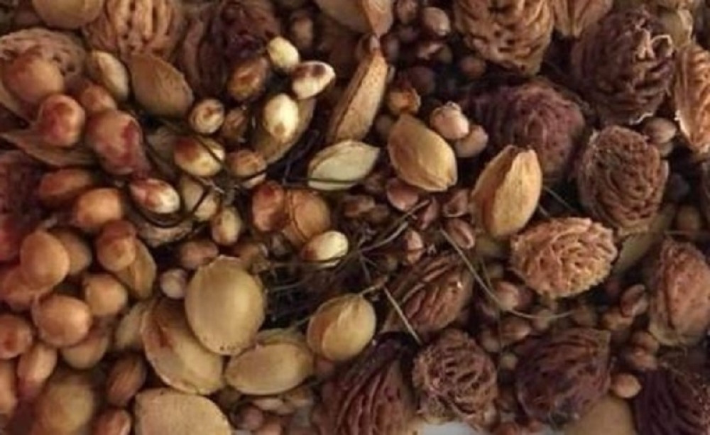 Ako bacite koščice na jedno mesto, ispuniće vam se žalja