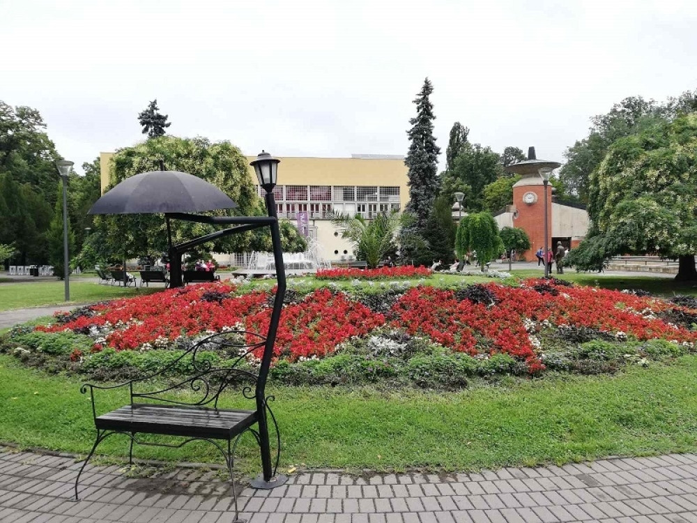 Žena (55) upucala sebe u vrat, a potom uradila nešto veoma čudno