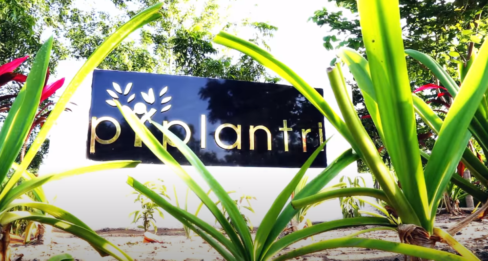 Ovo selo u Indiji posadi stotinu stabala kada se rodi žensko!