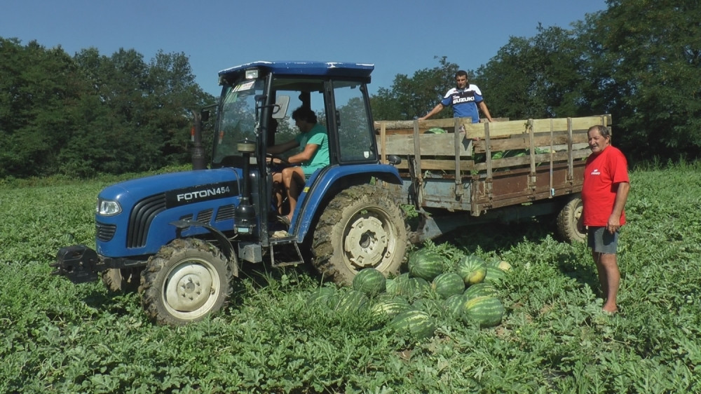 Majstorovići se u Srbiji bave nesvakidašnjim biznisom, posao lagan, a zarada dobra (FOTO)