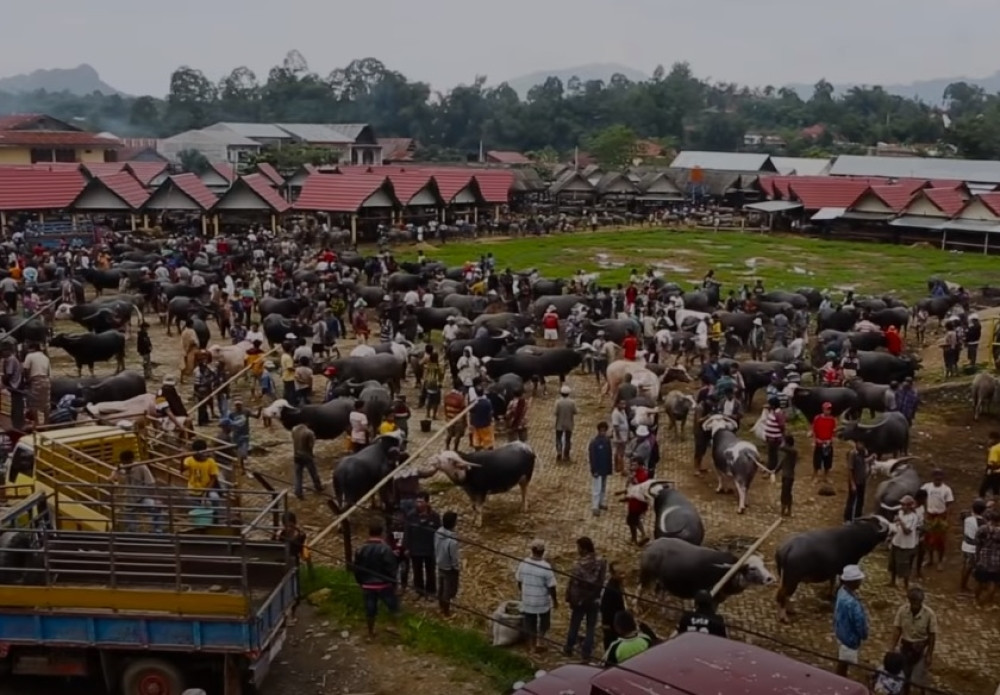 Iskopavaju bližnje i druže se sa njima?! (FOTO/VIDEO)