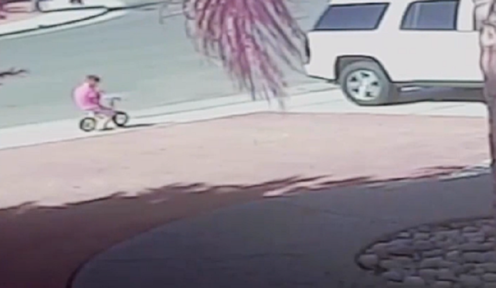 Dete spaseno u zadnji čas, ali ne od ruke čoveka! (UZNEMIRUJUĆI VIDEO)