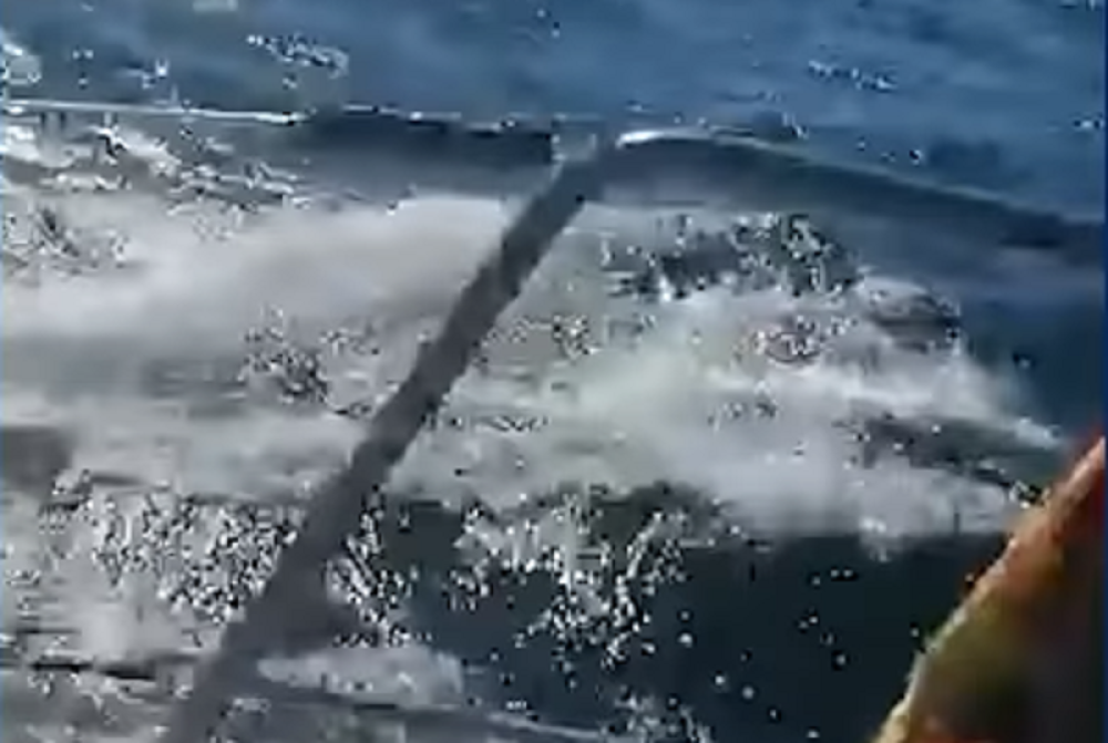 Plovilo ozbiljno oštećeno, sumnjaju da ih je poslao arhineprijatelj zapada?! (VIDEO)