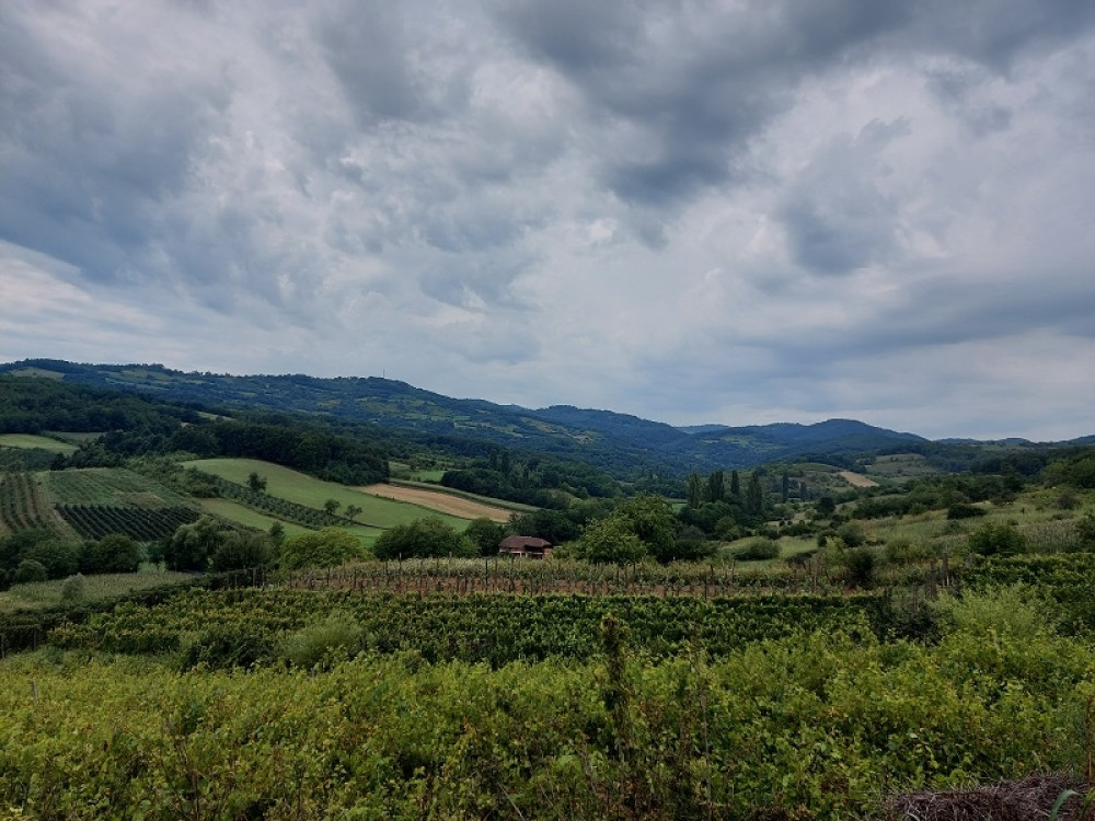 Ako volite ravnicu vi ste ekstrovertni, a planinu...