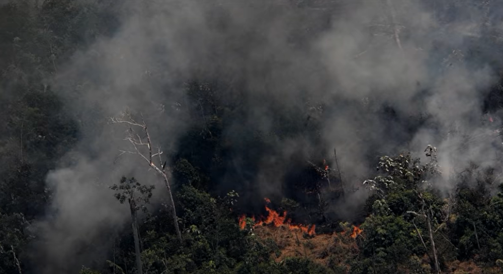 Ko uništava amazonsku prašumu?