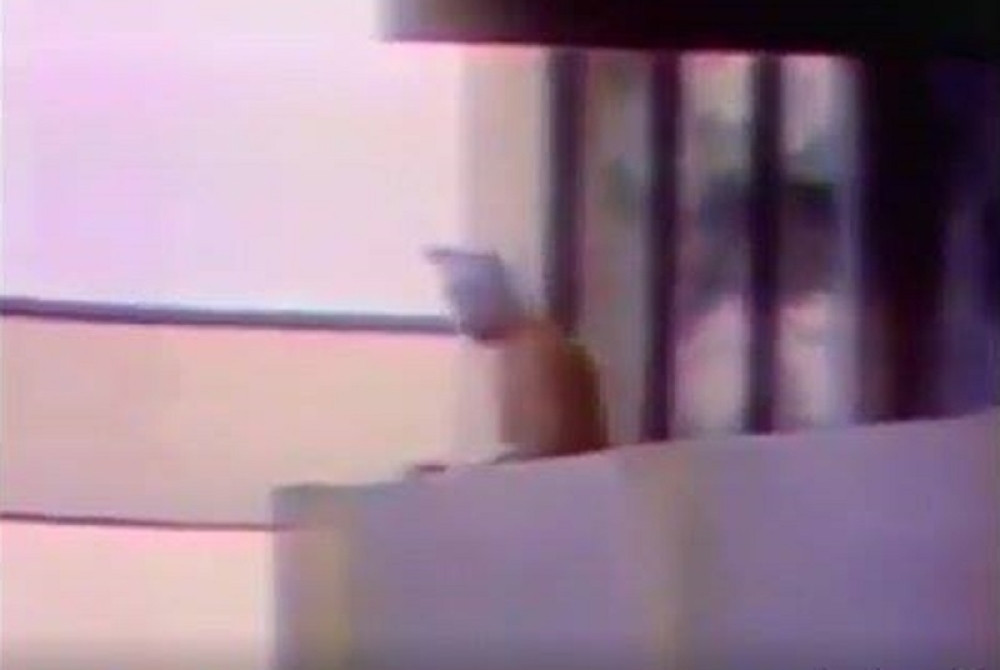 Na današnji dan planeta je bila zavijena u crno, terorizam je udario na svetski sport, a stradalo je čak 17 ljudi