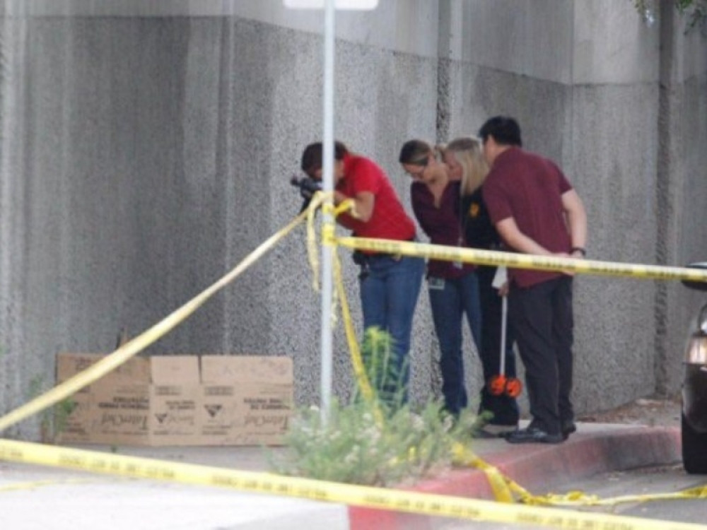 Krvavi pir na plantaži marihuane, sedmoro mrtvih, još uvek se ne zna uzrok!