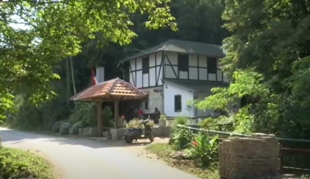 Niko ne može da odoli Leposavi, evo zbog čega! (VIDEO)